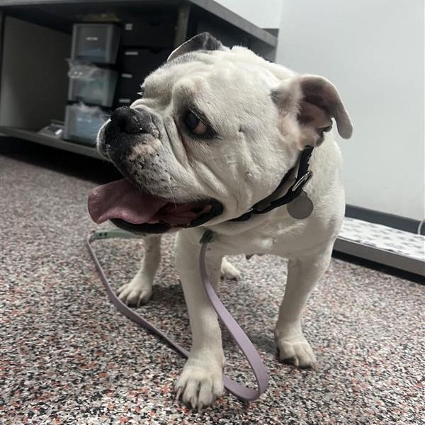 Hello my name is Diana