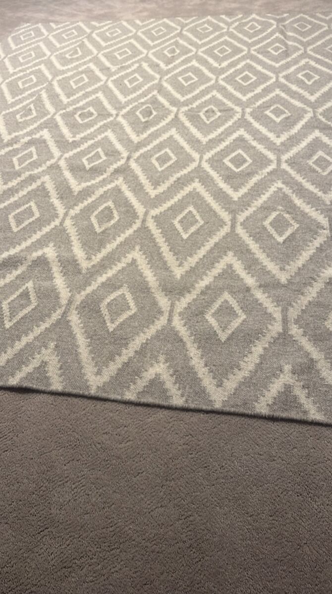 Area Rug and pad