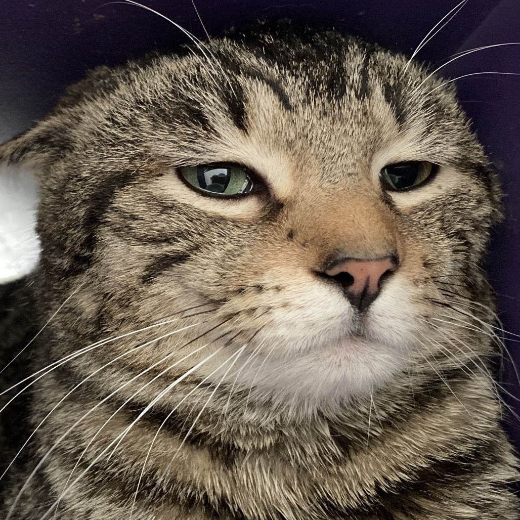 Hello my name is Magnus