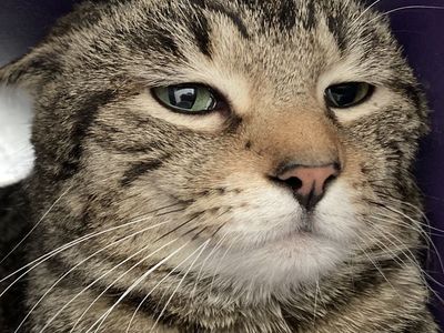 Hello my name is Magnus