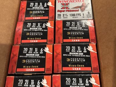 Mixed Case Of 20ga Shorgun Shells