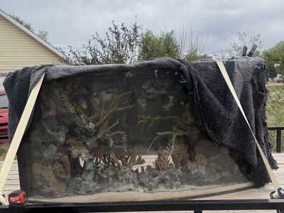 400 Gallon Fish Tank/Saltwater Aquarium