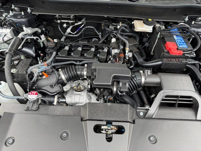 Main image 10