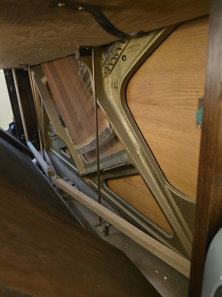 Main image 3