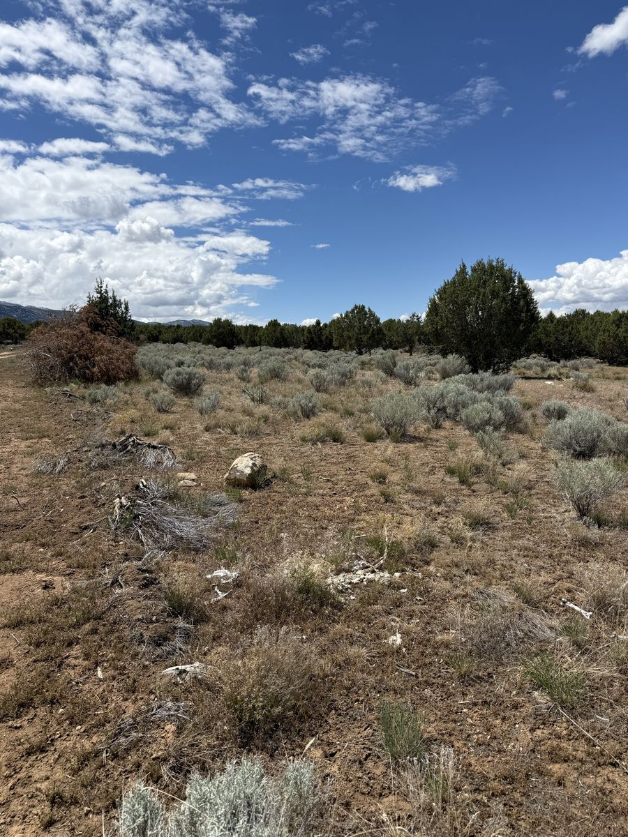 Main image 8