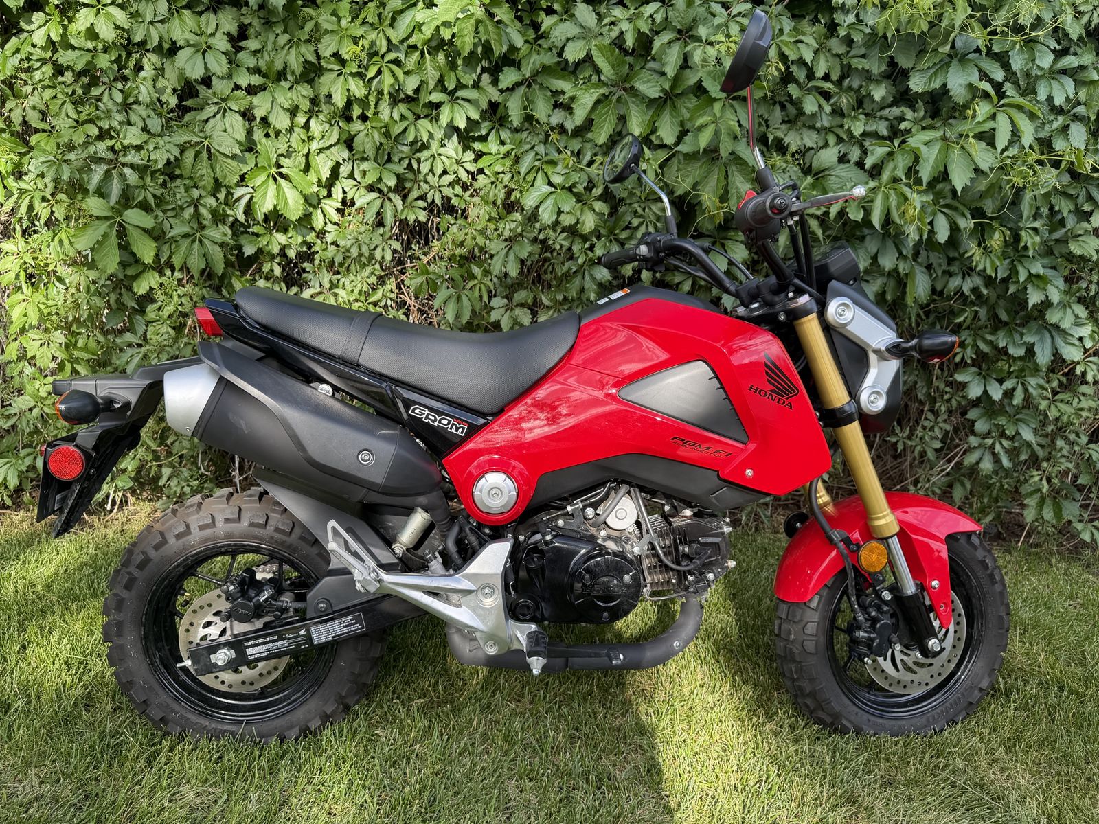 Practically Brand-New 2014 Honda Grom — Only 124 Miles!