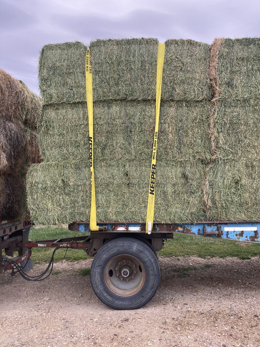 3rd crop grass/alfalfa