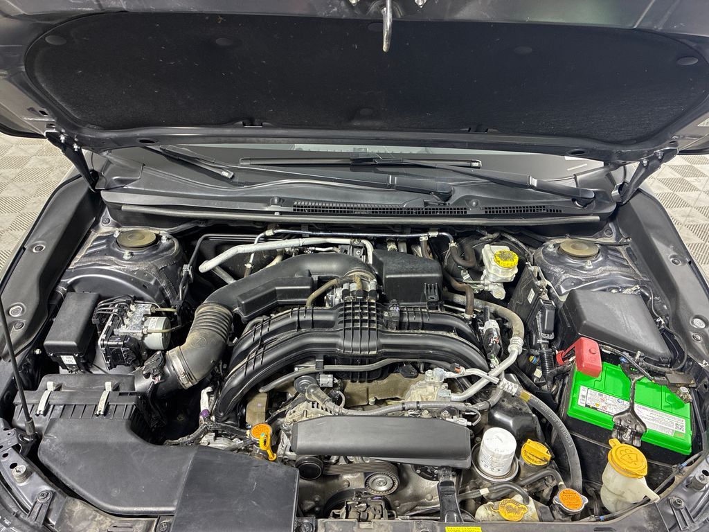 Main image 7