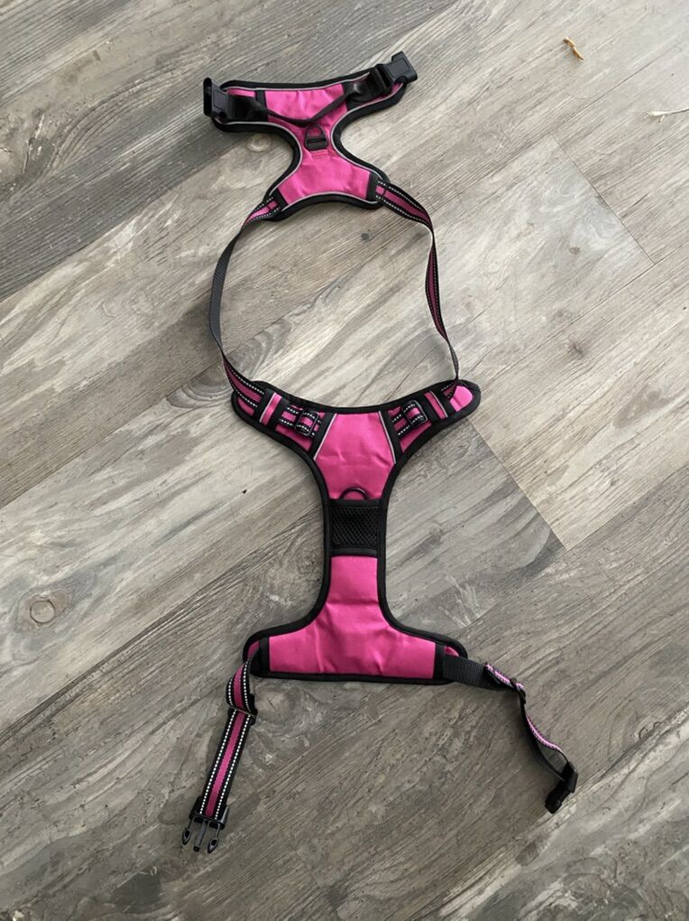 Dog Harness