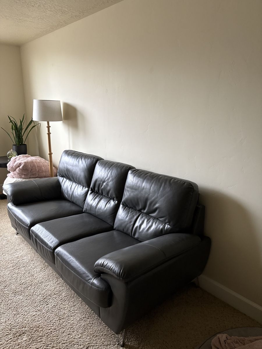 gray leather couch