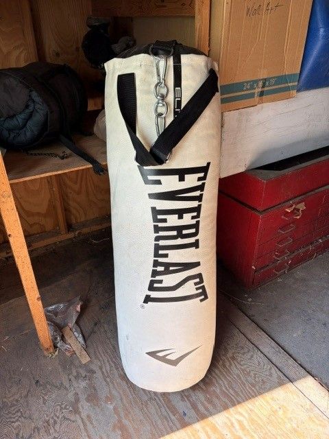 Everlast Heavy Bag