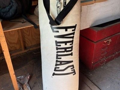 Everlast Heavy Bag