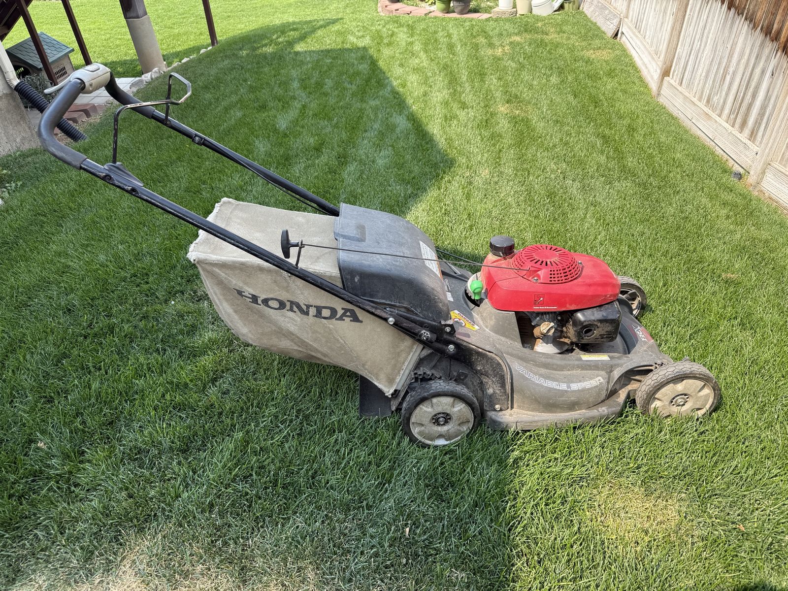 Honda HRX217 Gas Lawn Mower with Grass Bag
