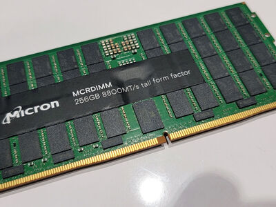 Single Micron 256GB DDR5 Memory Stick