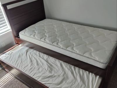 Twin Dark brown trundle bed