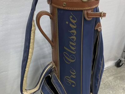 Vintage golf bag.