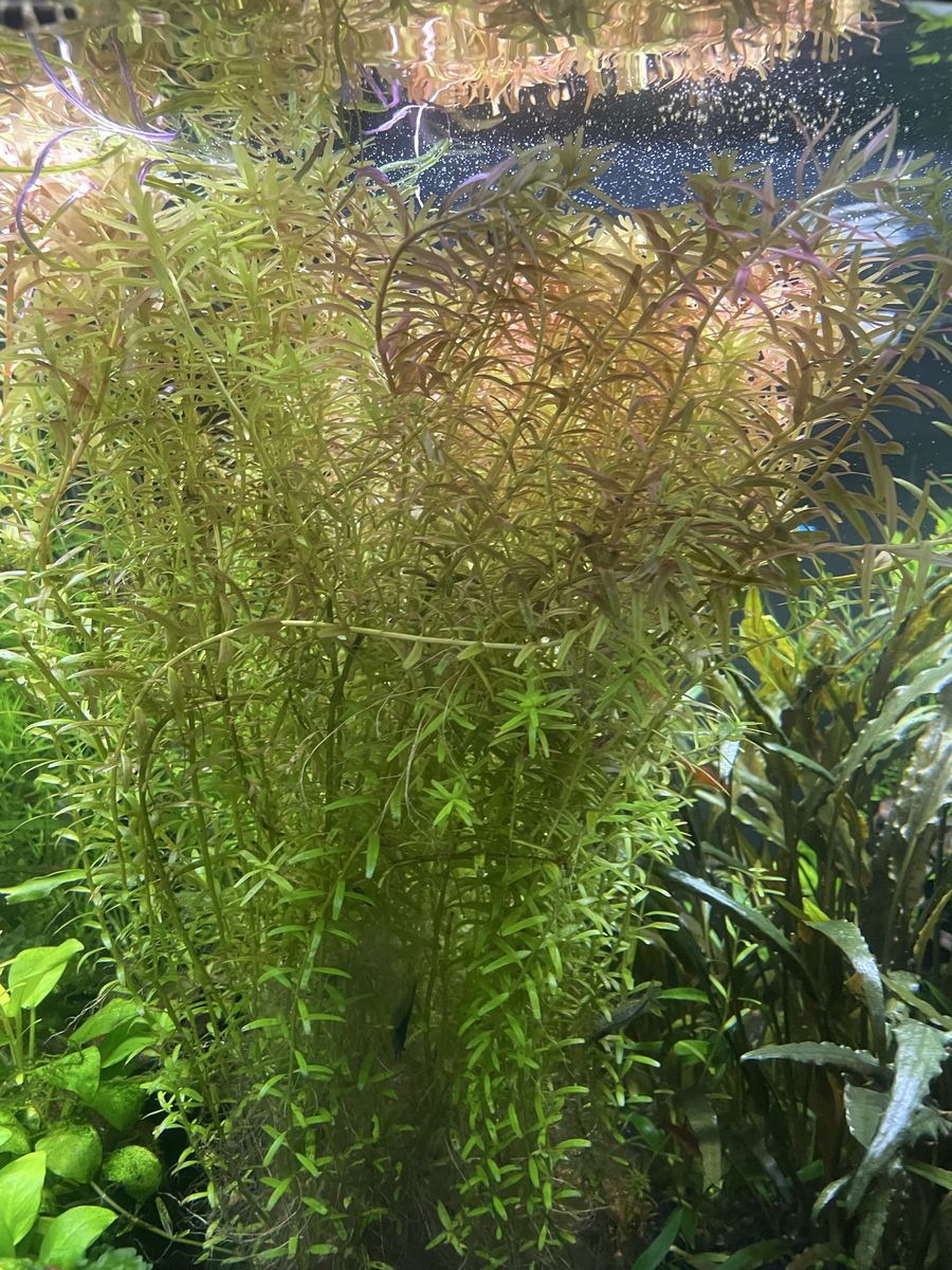 Main image 2