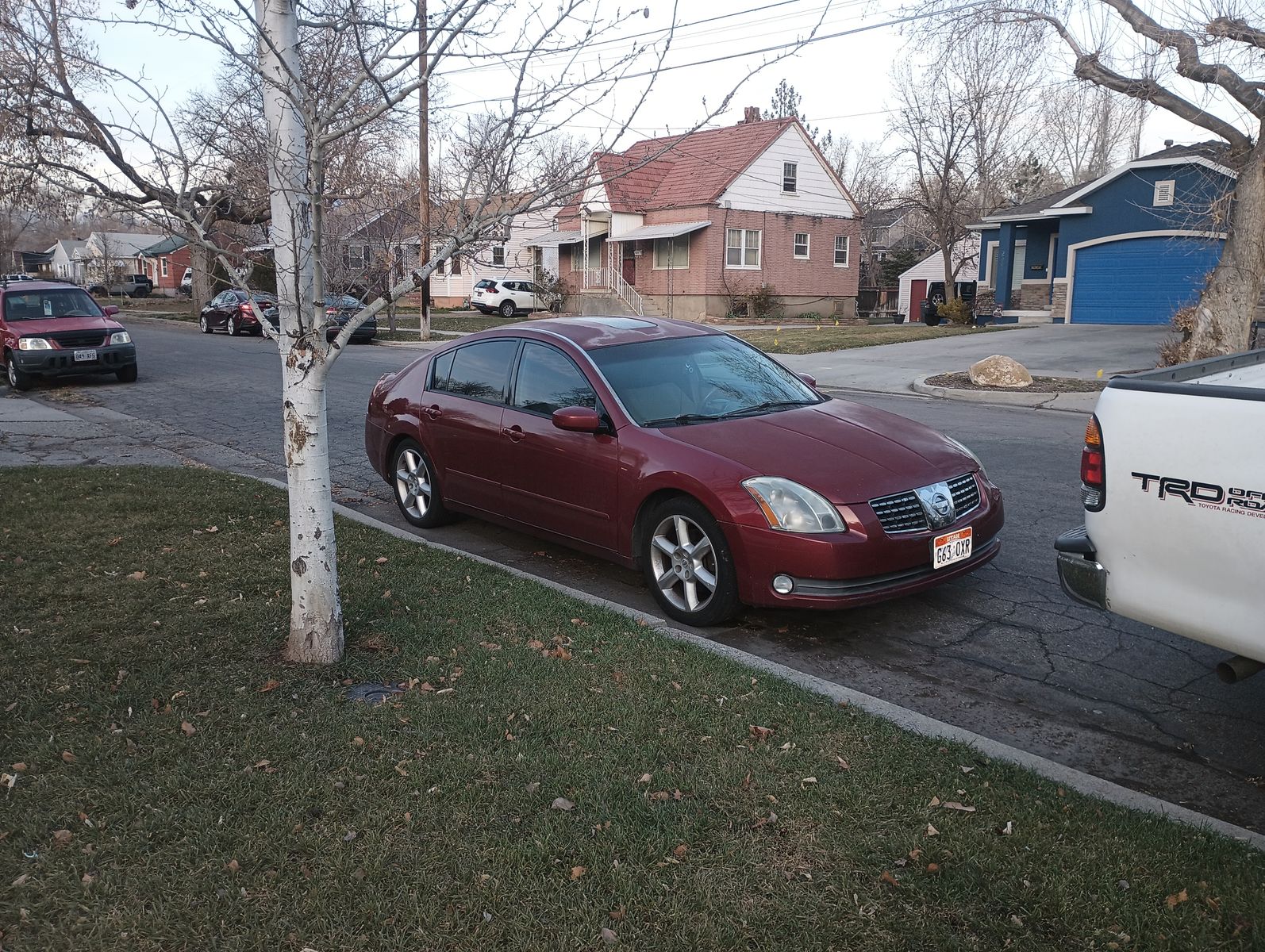 2005 NISSAN MAXIMA 3.5 SE