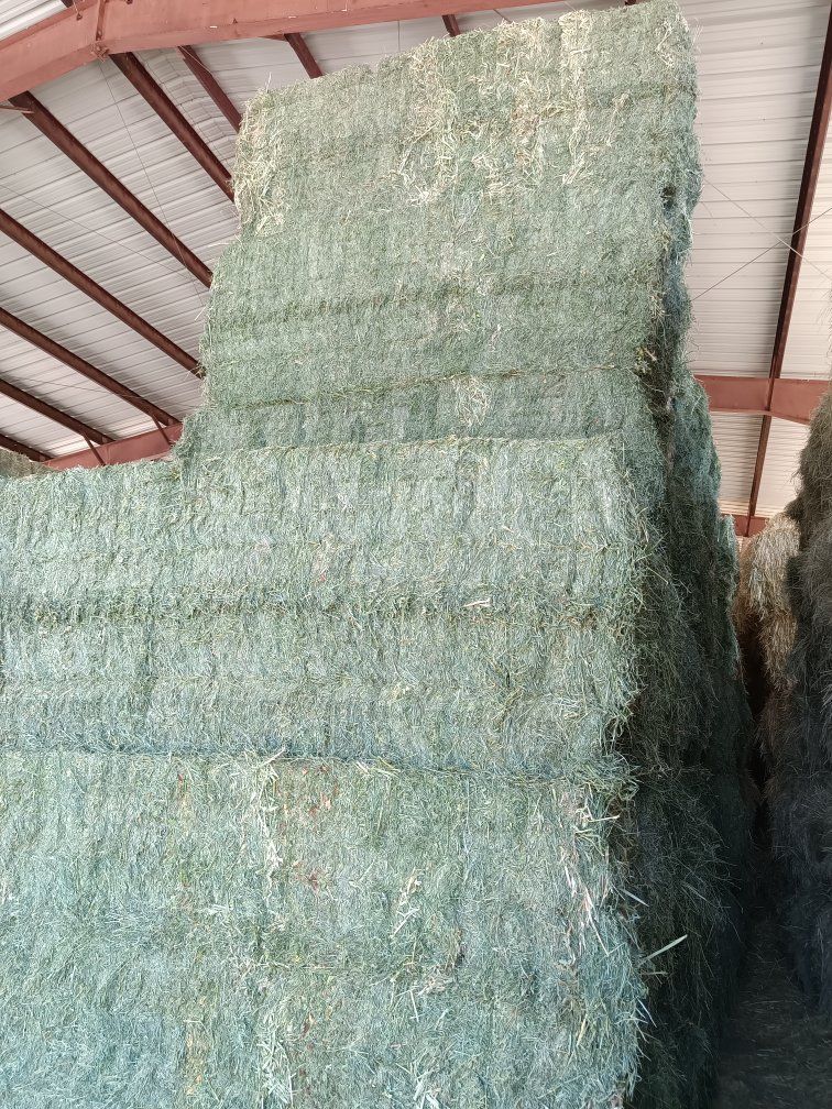 Alfalfa grass mix 3x3
