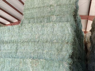 Alfalfa grass mix 3x3