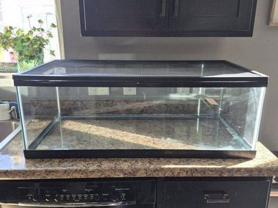 40 Gallon Reptile Tank