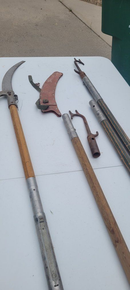 tree pole saw