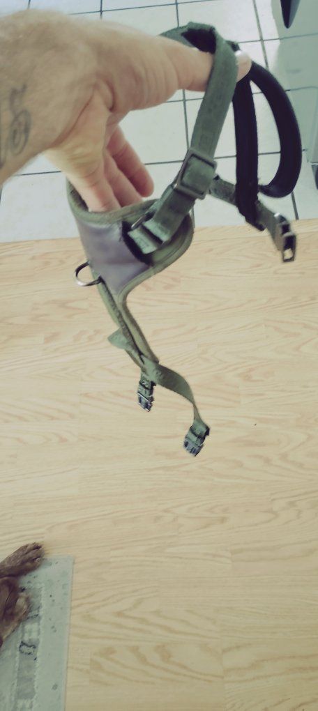Reddy Olive Green Padded Dog Harness with D-Ring Attachment