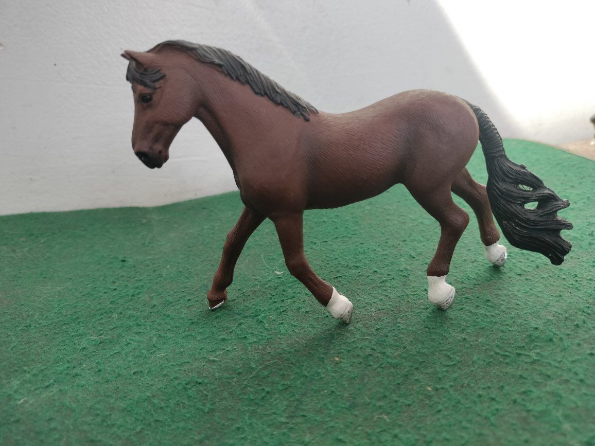 Main image 8