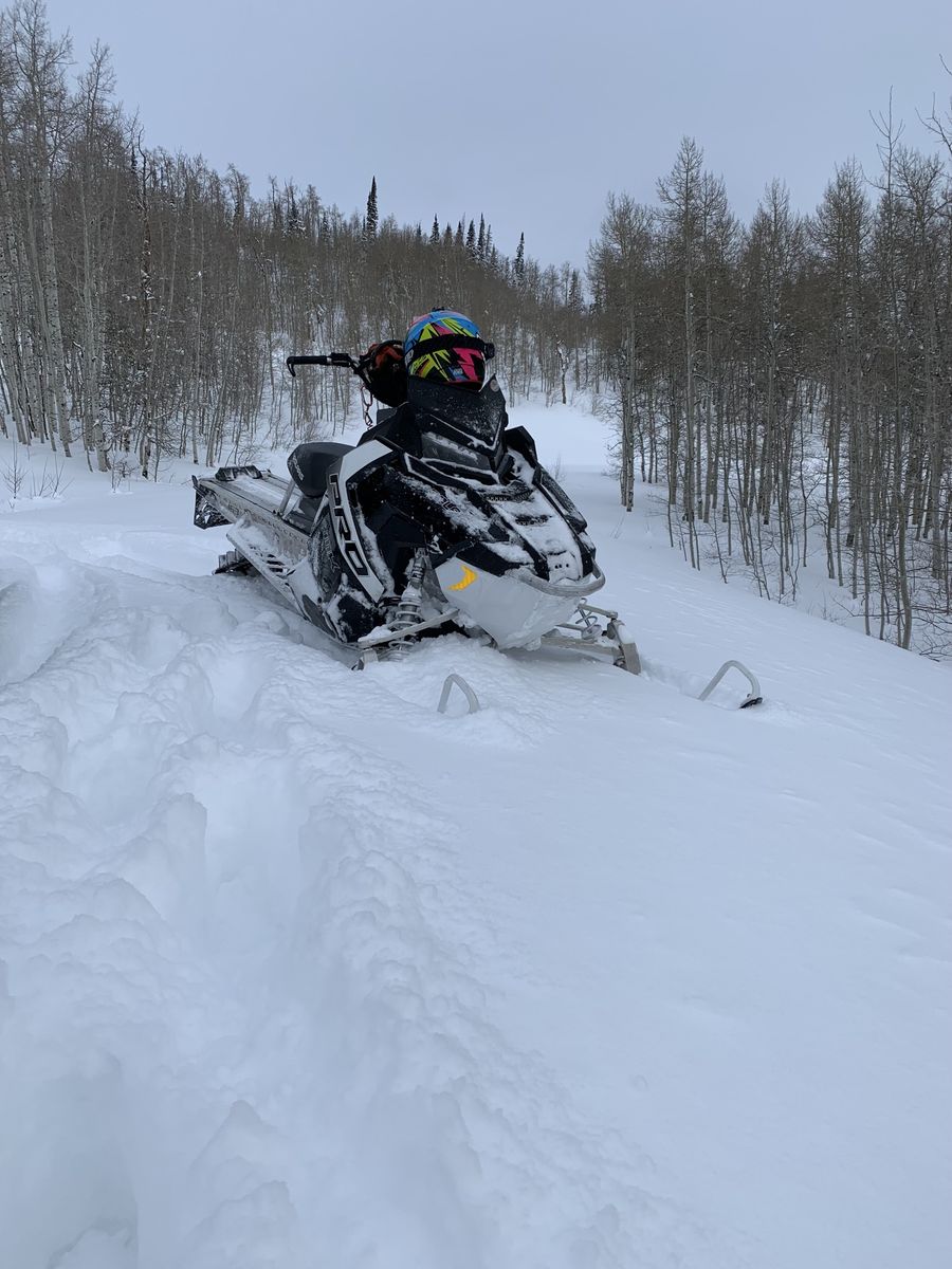 Polaris pro rmk 800