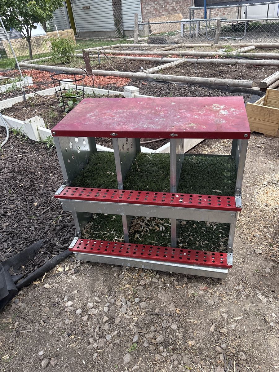 Nesting boxes for chicken