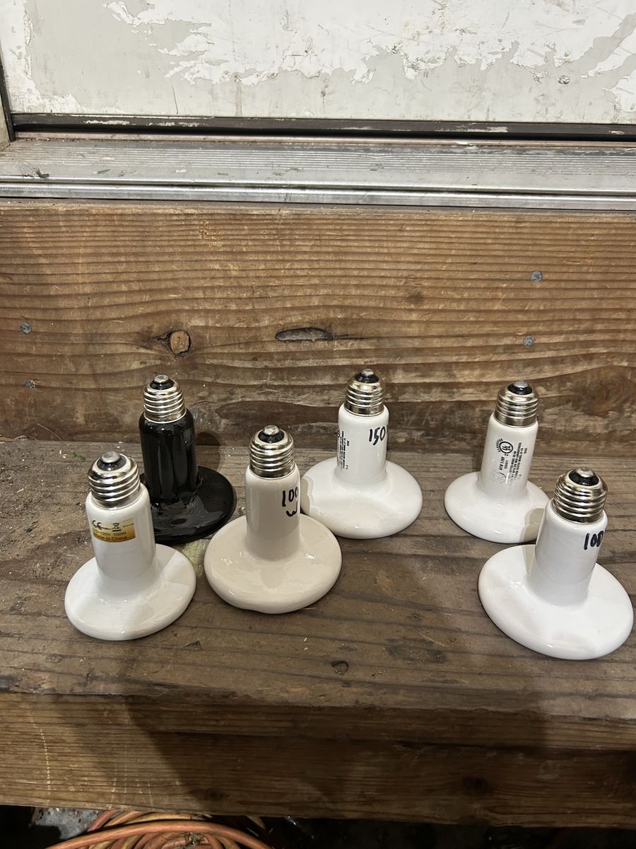 Ceramic bulbs