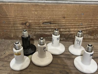 Ceramic bulbs