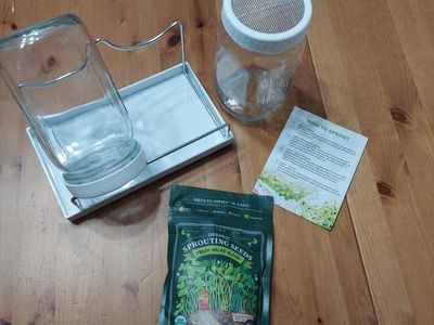 Seedboy Seed Sprouting Kit with 2 Glass Jars, Stand, Tray & 8 oz Organic Seeds
