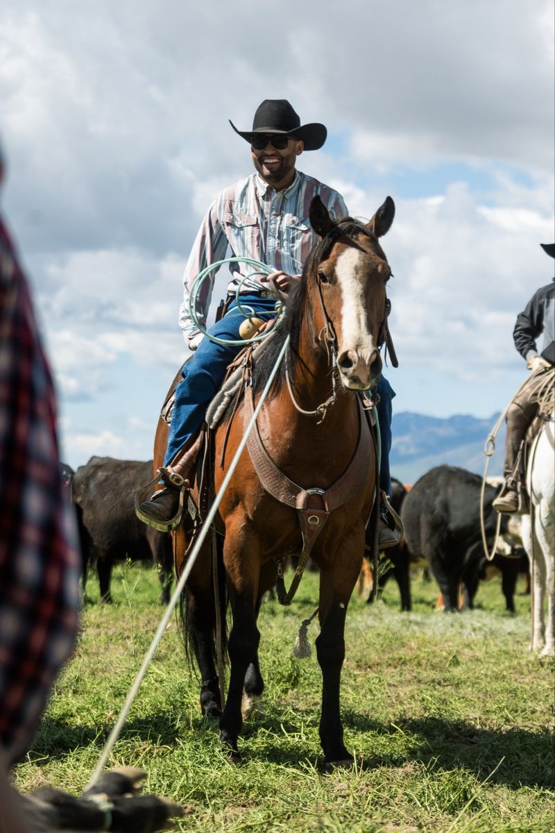 11 Year Old Head/Heel & Ranch Horse