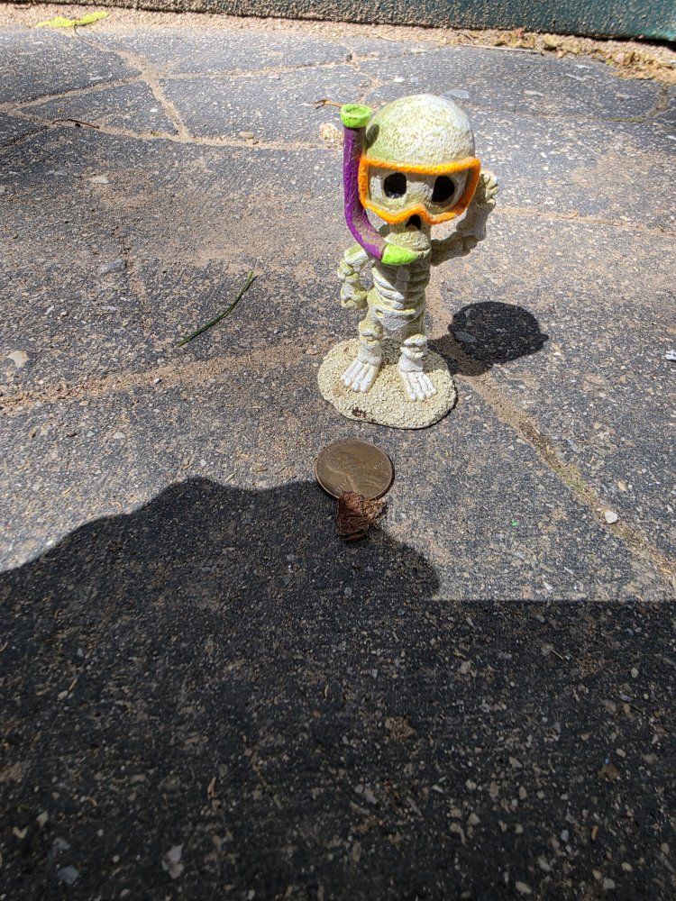 Main image 3
