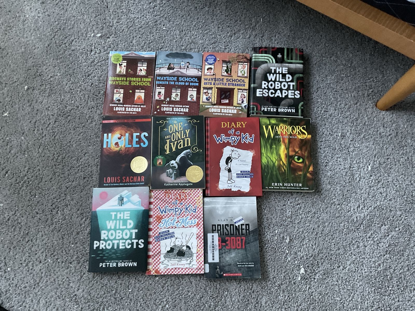 Childrens Book Lot - Louis Sachar, Diary of a Wimpy Kid, The Wild Robot & More