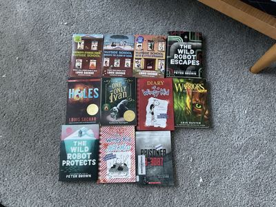 Childrens Book Lot - Louis Sachar, Diary of a Wimpy Kid, The Wild Robot & More
