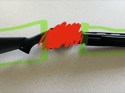 Winchester SXP Stock and forearm