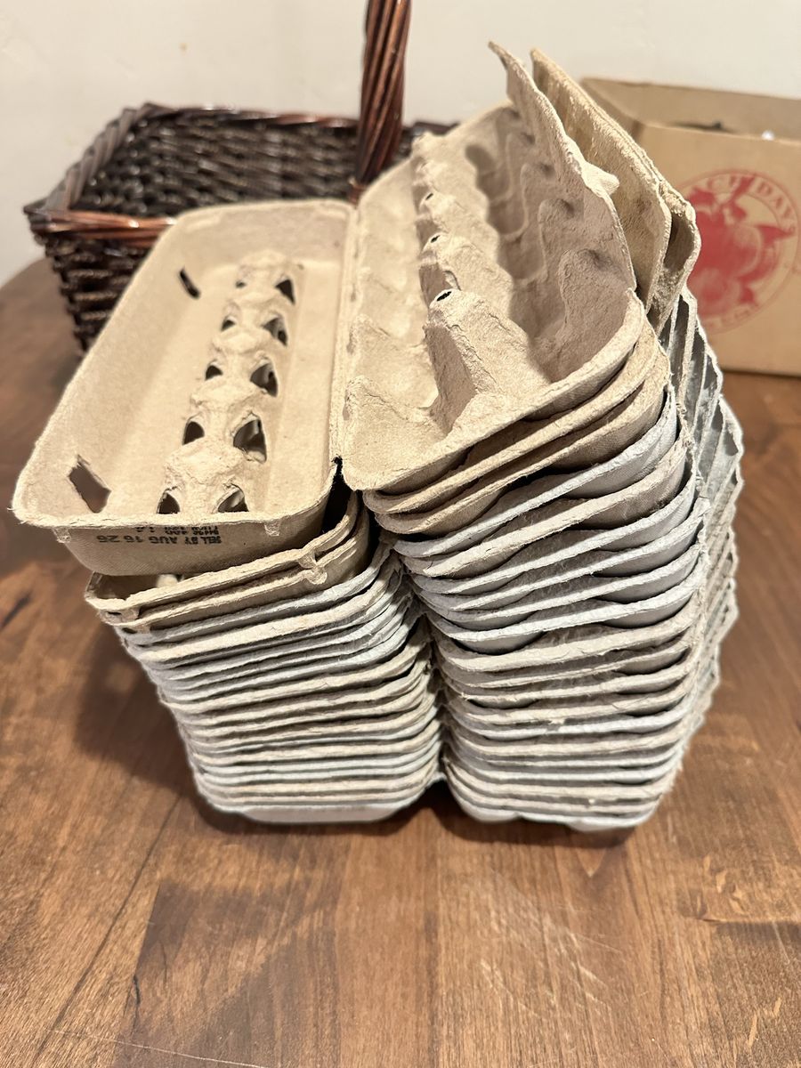 20 clean empty egg cartons