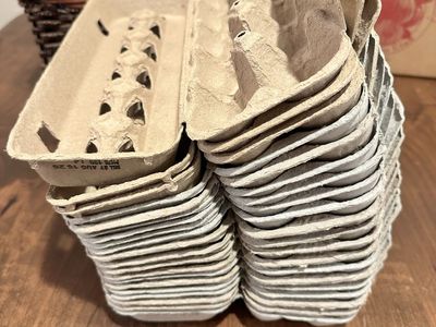 20 clean empty egg cartons
