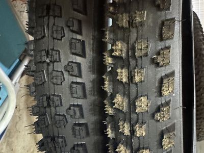 Specialized purgatory 29 x 2.4 tires