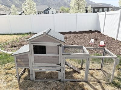 Chicken Coop/Chicken
