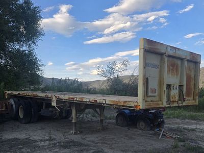 30' Heavy Duty Trailer