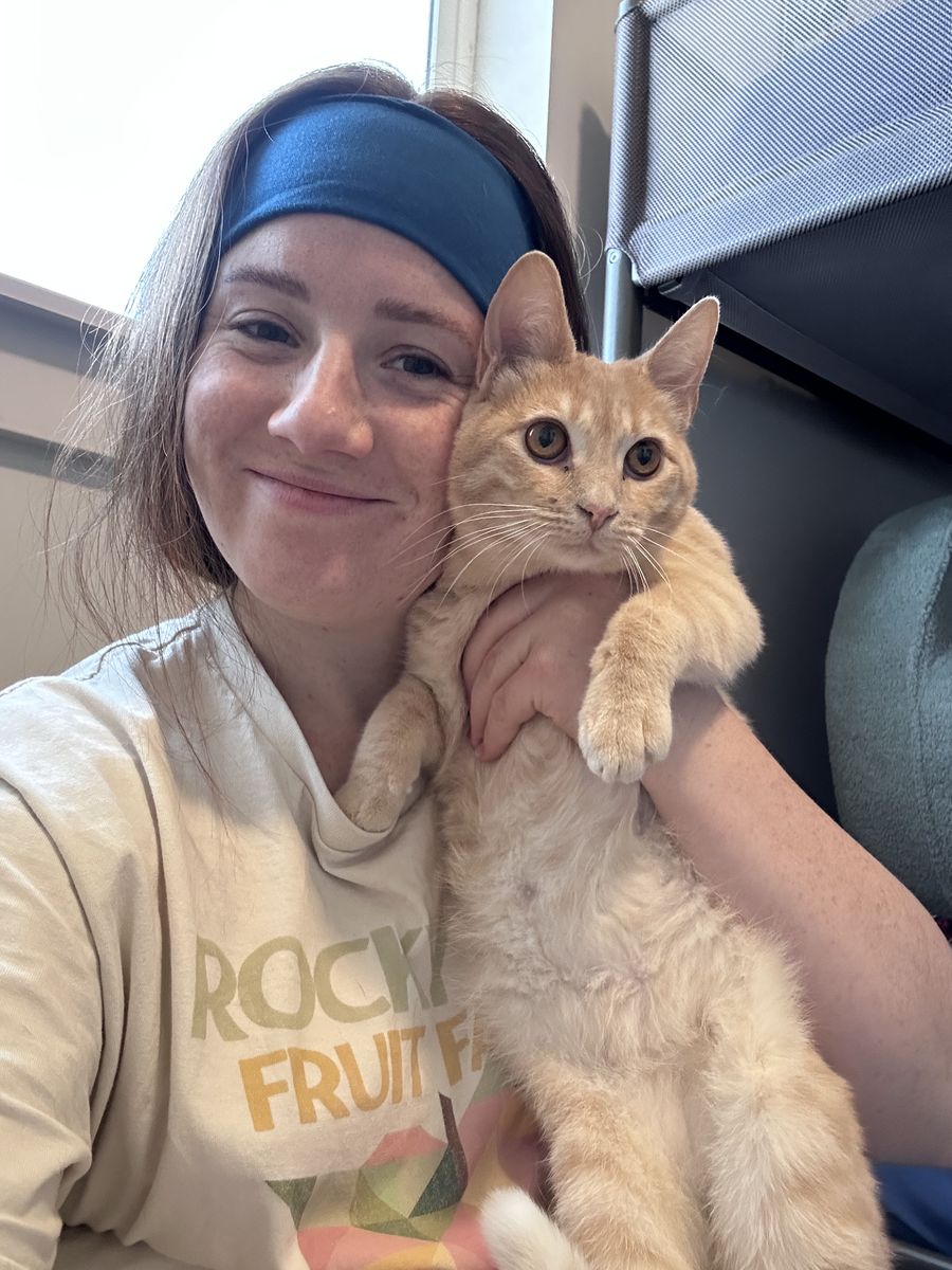 9 Month Old Sibling Kittens