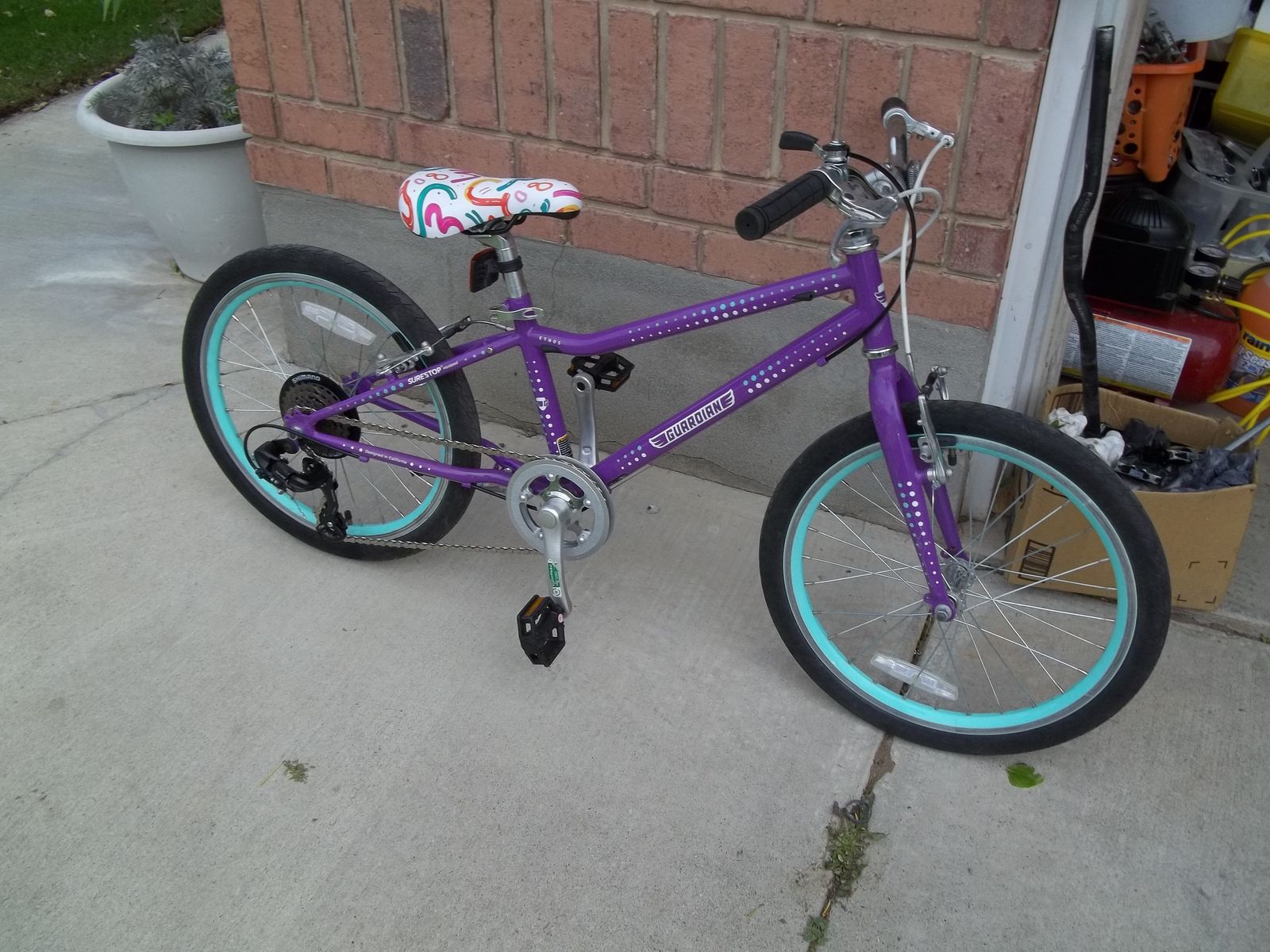 Guardian Ethos Girl's Bike