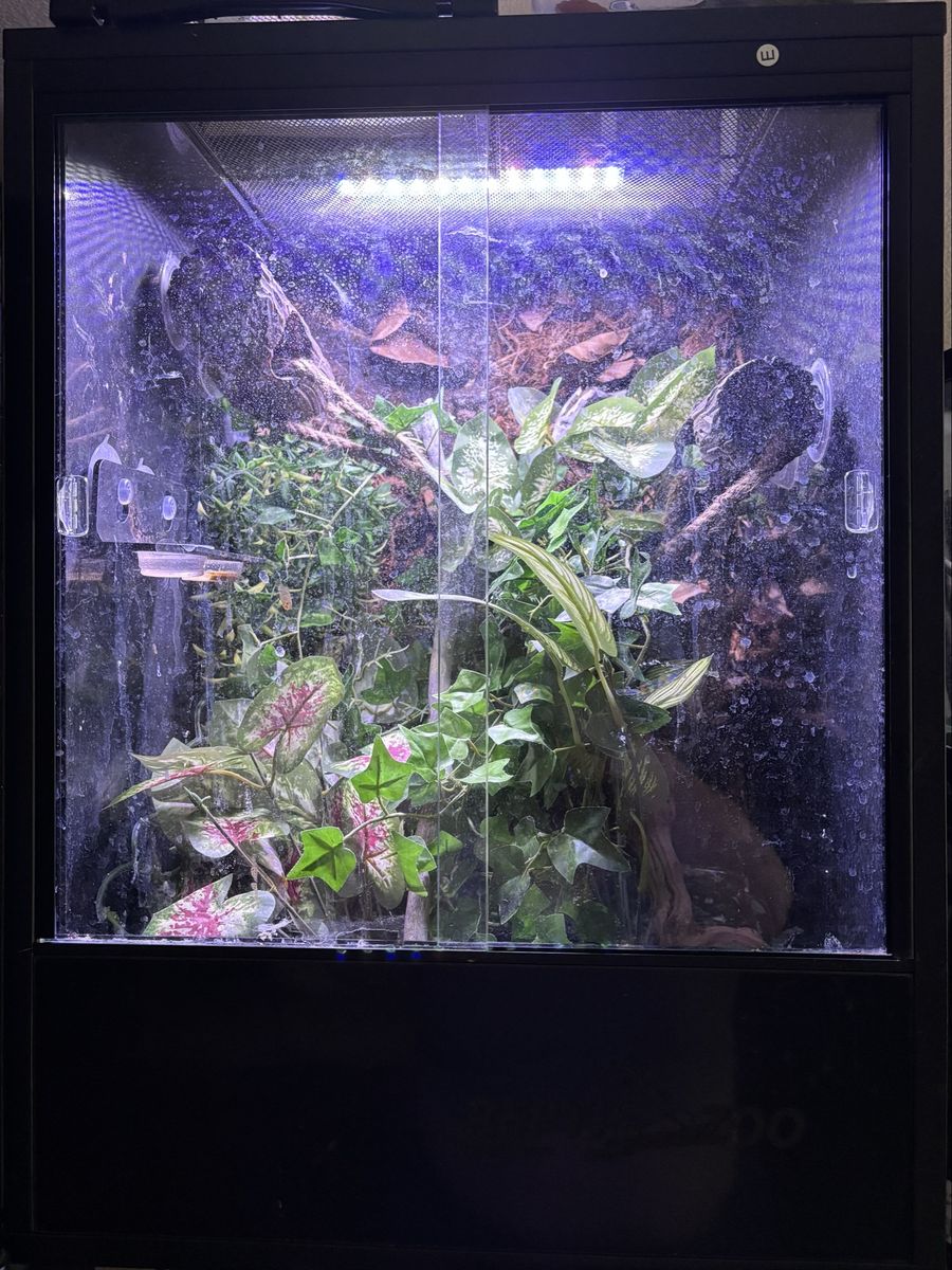 Main image 3