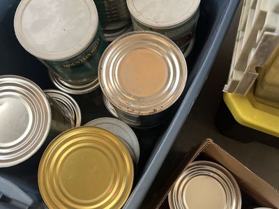 Expired can food