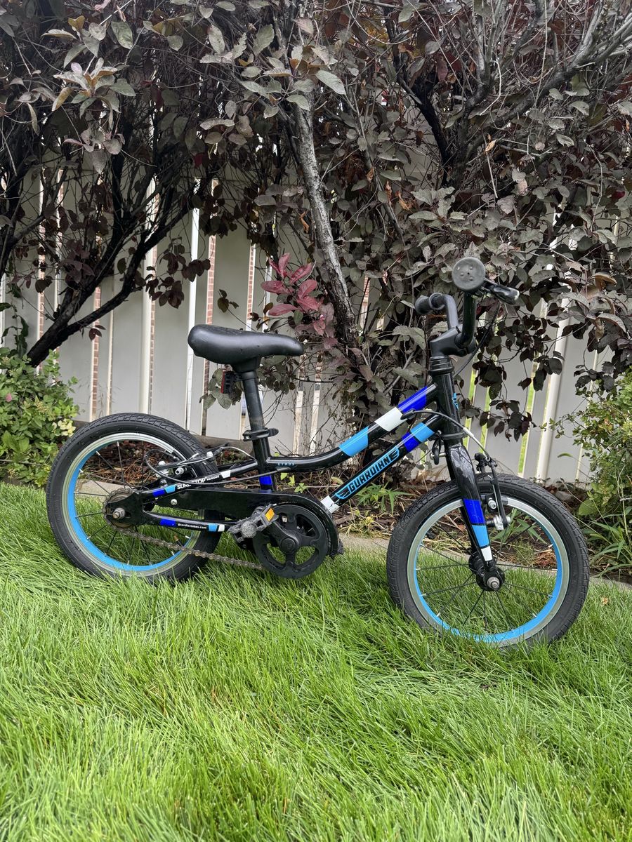 Guardian Bike 14”