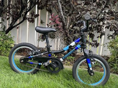 Guardian Bike 14”
