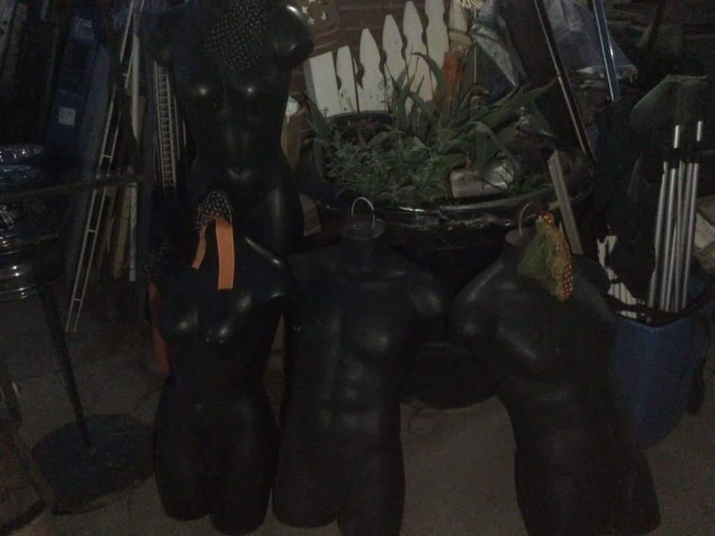 Main image 6